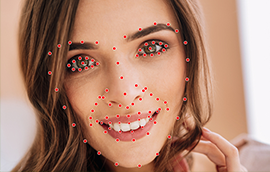 博世平台人脸关键点标注